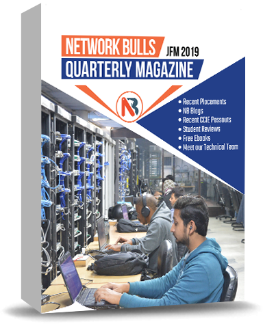 NB Magazine | Jan, Feb , Mar - 2019 - Network Bulls