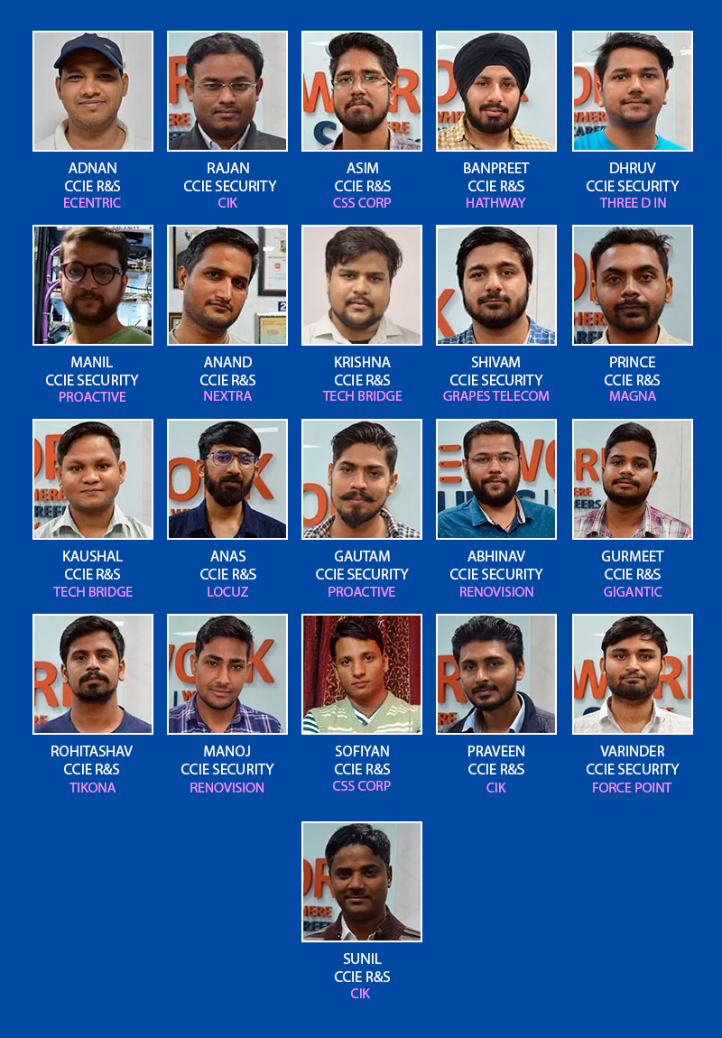 Network Bulls Placed students