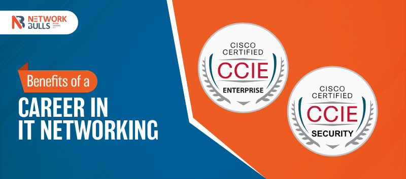 Benefits of a Career in IT Networking