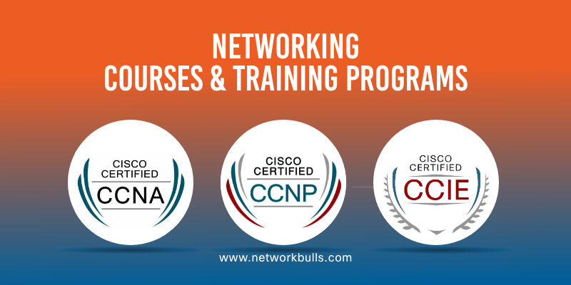 Choosing Between IT Networking and Engineering: Factors to Consider