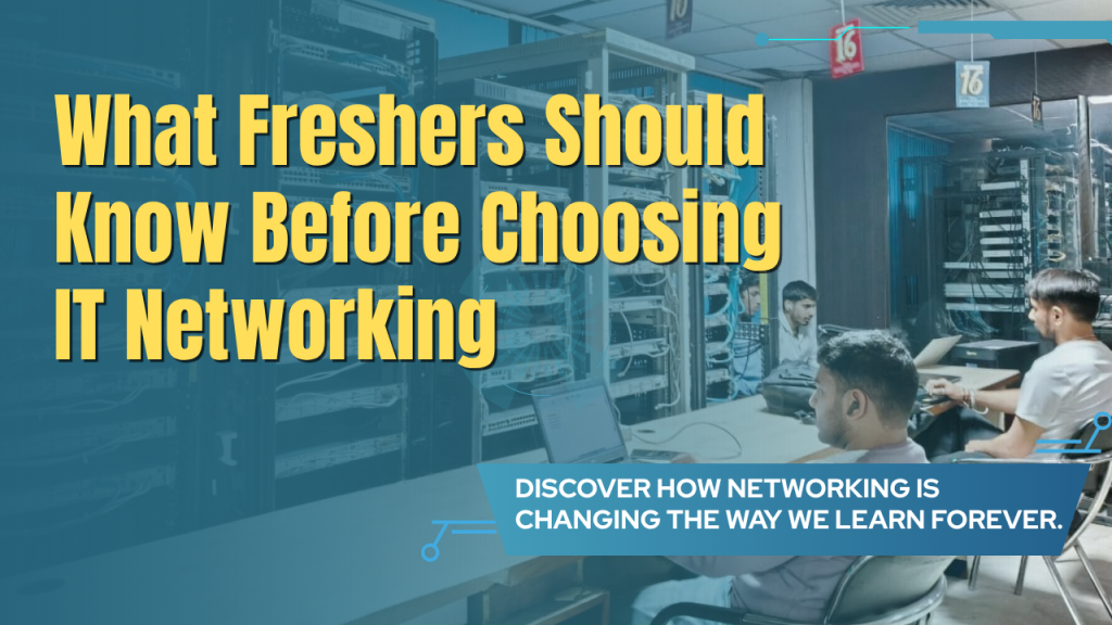 What Freshers Should Know Before Choosing IT Networking